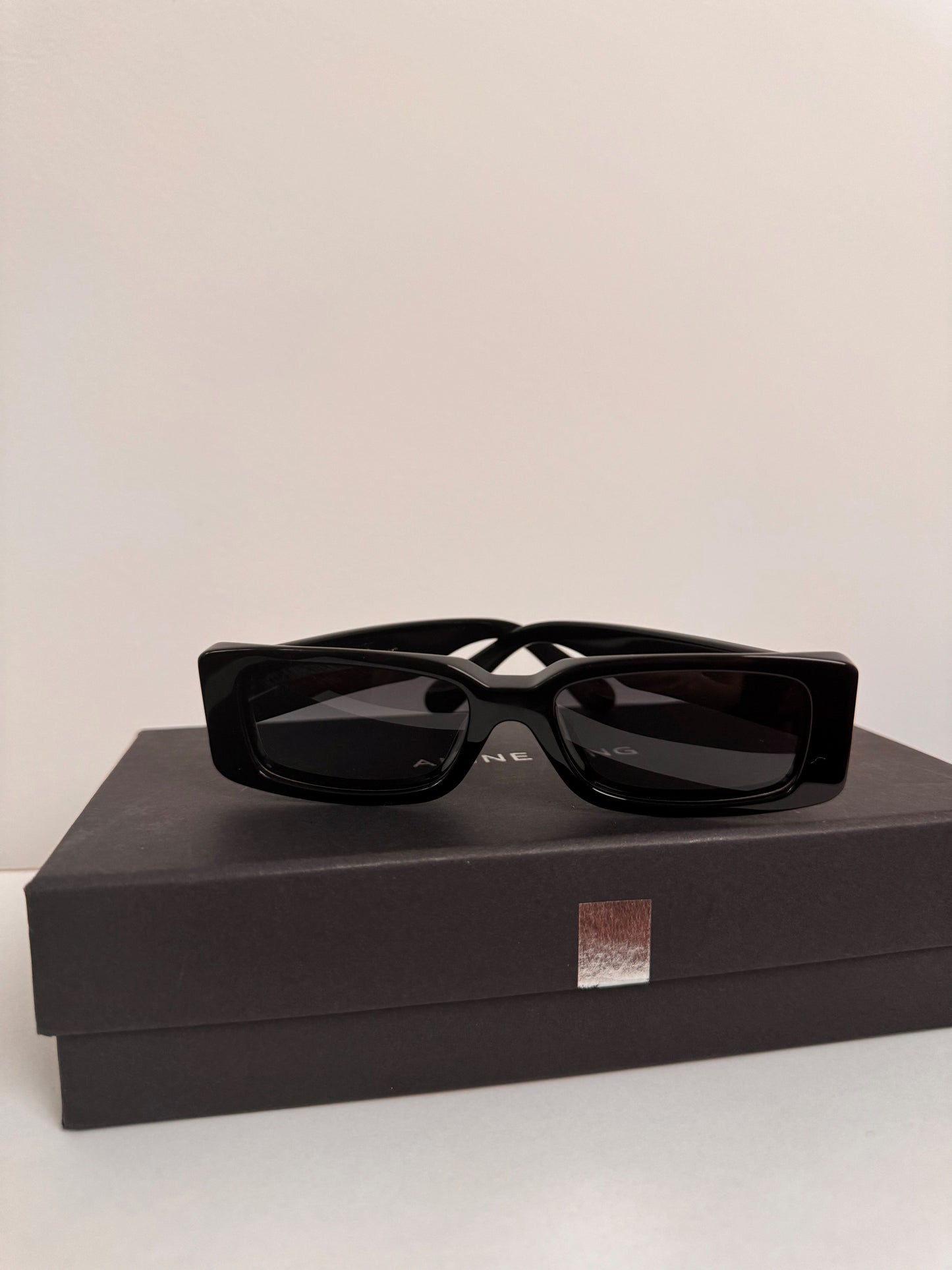 ANINE BING "Napa" Sunglasses