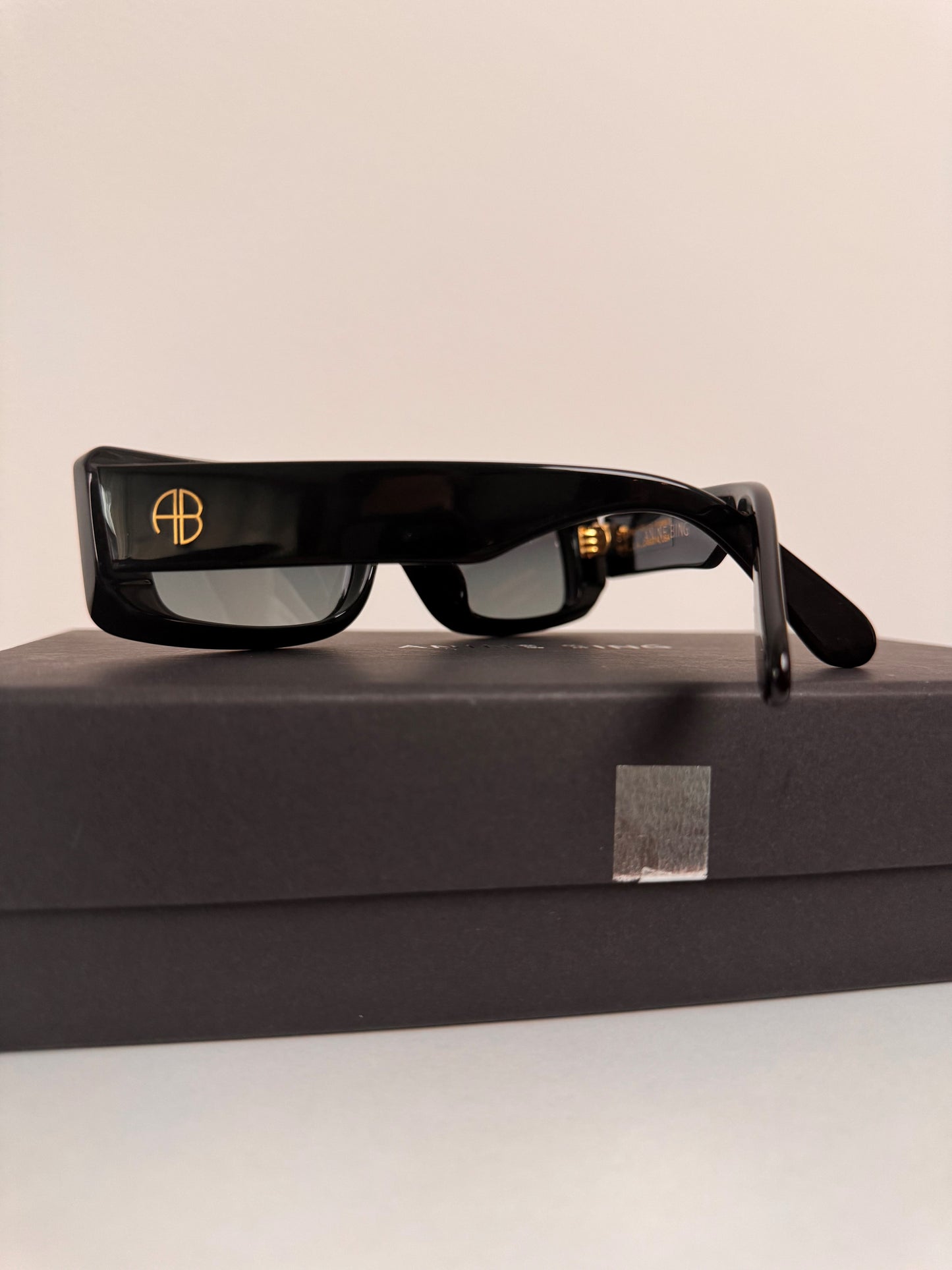 ANINE BING "Napa" Sunglasses